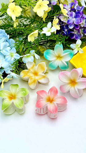 Flower hair clip YH33K