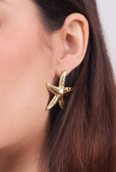 Stainless steel star earrings 124AQ387