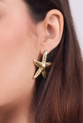 Stainless steel star earrings 124AQ387